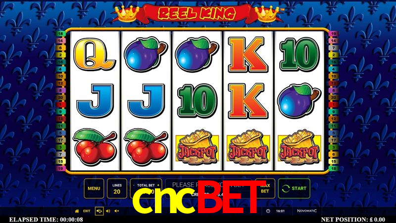cncbet: Jogue Crash e Experimente Alta Recompensa Instantânea